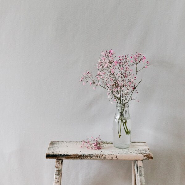 flower, vase, baby's breath-4905417.jpg